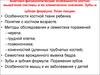 Анатомо-физиологические особенности костно-мышечной системы и их клиническое значение. Зубы и зубная формула