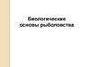 Биологические основы рыболовства