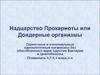 Надцарство прокариоты или доядерные организмы. Бактерии и цианобионты