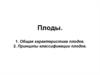 Плоды. Общая характеристика плодов. Принципы классификации плодов