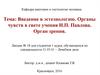 Введение в эстезиологию. Органы чувств в свете учения И.П. Павлова
