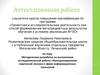 Аттестационная работа. Функционирование жаргонной лексики в сфере информационных технологий