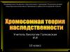 Хромосомная теория наследственности. (10 класс)