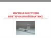 Местная анестезия в ветеринарной практике