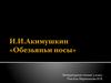 Игорь Иванович Акимушкин «Обезьяньи носы». (3 класс)