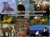 История развития зоологии. Современная зоология