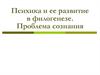 Психика и ее развитие в филогенезе. Проблема сознания
