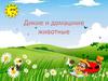 Дикие и домашние животные