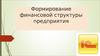 Формирование финансовой структуры предприятия