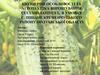 Біологічні особливості та агротехніка вирощування сucumis sativus l. в умовах с. Піщане Полтавської області