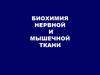 Биохимия нервной и мышечной ткани