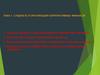Сущность и организация корпоративных финансов