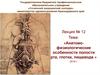 Анатомофизиологические особенности полости рта, глотки, пищевода. (Лекция 12)