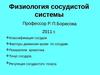 27 Физиология сосудистой системы
