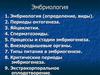 Эмбриология. Закономерности образования и развития зародыша