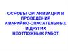 Организация и проведение аварийно-спасательных и других неотложных работ