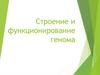 Строение и функционирование генома