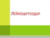 Лейкоцитоздар