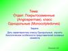 Отдел покрытосеменные (angiospermae), класс однодольные (monocotyledones)