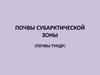 Почвы субарктической зоны (почвы тундр)