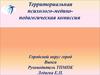 Территориальная психолого-медико-педагогическая комиссия
