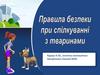 Правила безпеки при спілкуванні з тваринами