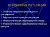 Нейронная регуляция