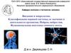 Введение в неврологию. Классификация нервной системы, ее значение в деятельности организма. Нейрон, нейроглия