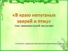 В краю непуганых зверей и птиц (час занимательной экологии)
