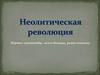 Неолитическая революция