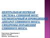 Центральная нервная система. Спинной мозг. Сегментарный и проводящий аппарат спинного мозга. Синдромы поражения спинного мозга