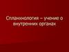 Спланхнология, учение о внутренних органах