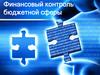 Финансовый контроль бюджетной сферы