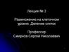 Размножение на клеточном уровне. Деление клеток