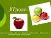 Яблоко. Интересные факты