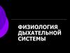 Физиология дыхательной системы