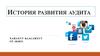 История развития аудита