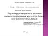 Кардиохирургия орталығы медицина қызметкерлерінің еңбек жүктемесін болжау және физиологиялық бағалау