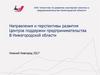 АНО «Агентство по развитию кластерной политики и предпринимательства Нижегородской области»