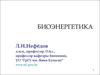 Биоэнергетика. Биологическое окисление. Биологические виды энергии