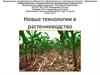 Новые технологии в растениеводстве