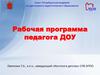 Рабочая программа педагога ДОУ
