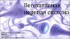 Вегетативная нервная система
