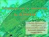 Історія розвитку вивчення клітини (10 клас)