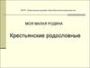Крестьянские родословные