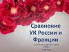 Сравнение УК России и Франции