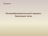 Почвообразовательный процесс. Эволюция почв