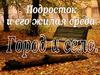 Подросток и его жилая среда. Город и село