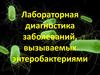 Лабораторная диагностика заболеваний, вызываемых энтеробактериями
