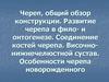 Череп, общий обзор конструкции. Развитие черепа в фило- и онтогенезе. Соединение костей черепа. Височно-нижнечелюстной сустав